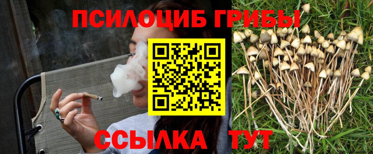 Галлюциногенные грибы Psilocybe  Вход с VPN  Сертолово 