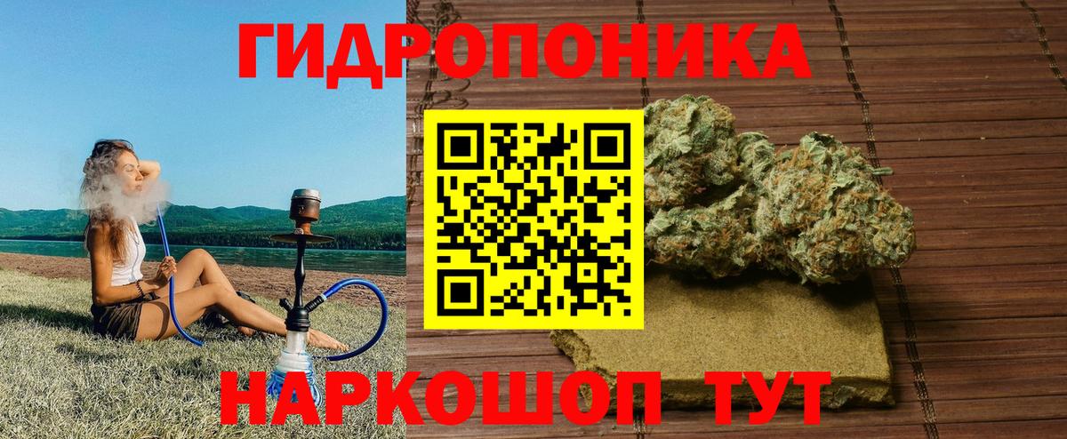 Сертолово  Бошки марихуана гибрид  Бошки марихуана планчик  Вход с VPN 